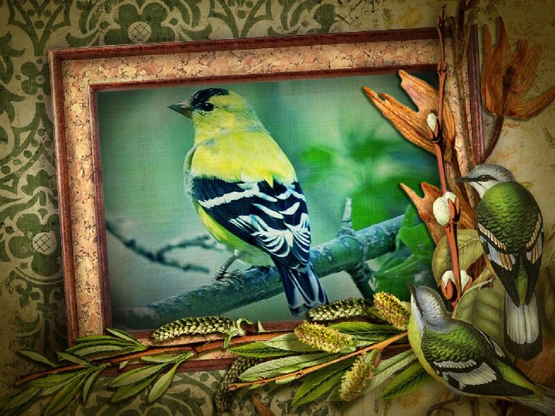 Yellow Bird on Branch — Green, Natural, Spring