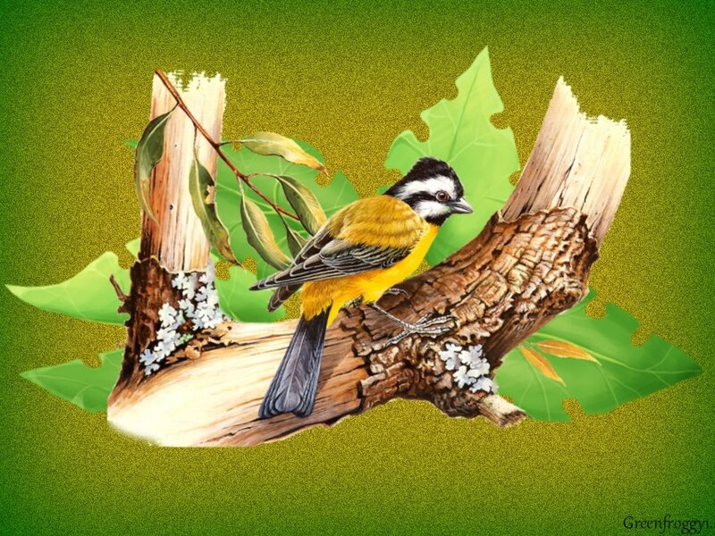 Yellow Bird on Branch — Green, Serene, Illustration