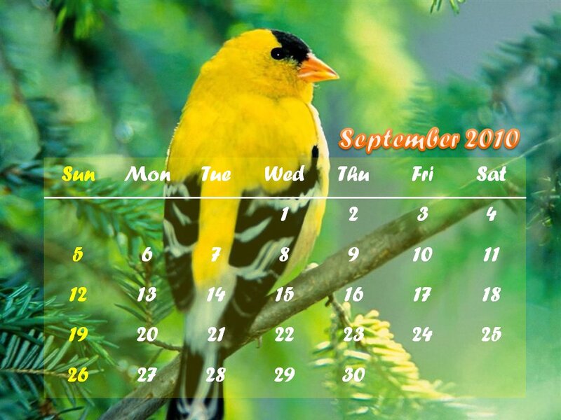 Yellow Bird on Branch — Green, Serene