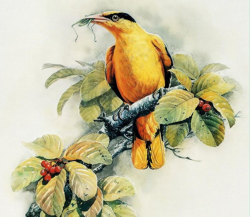 Yellow Bird on Branch — Natural, Autumn
