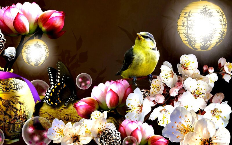Yellow Bird on Branch — Serene, Night