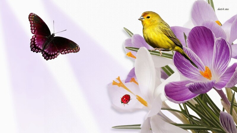 Yellow Bird on Flowers — Purple
