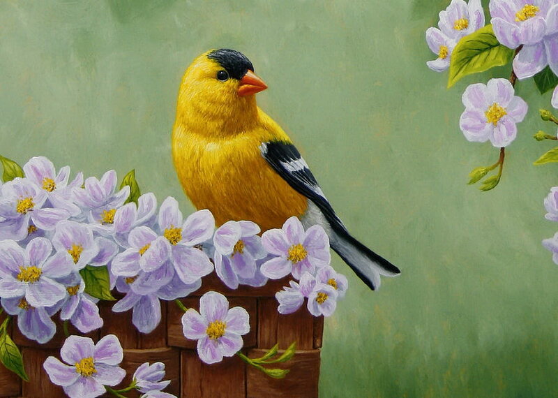 Yellow Bird on Flowers — Serene