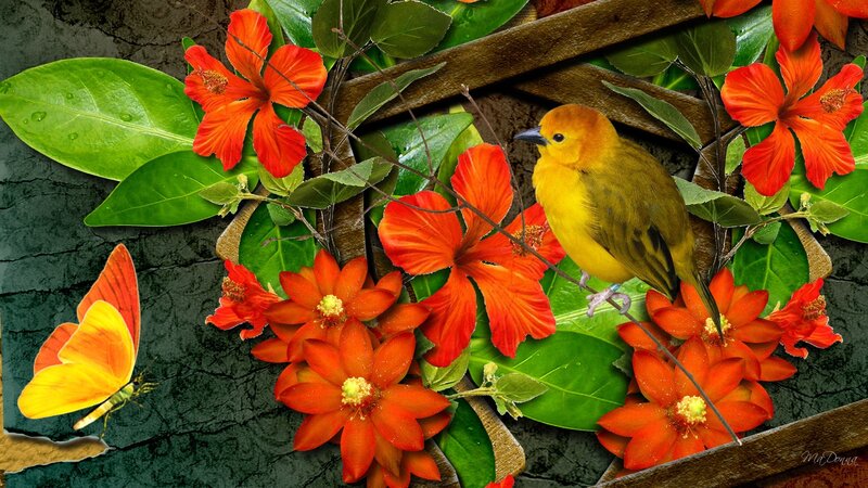 Yellow Bird on Flowers — Vibrant