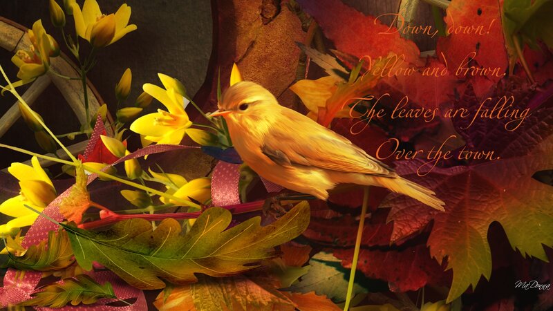 Yellow Bird on Leaves