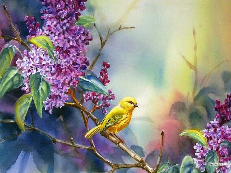 Yellow Bird on Lilac Branch — Purple