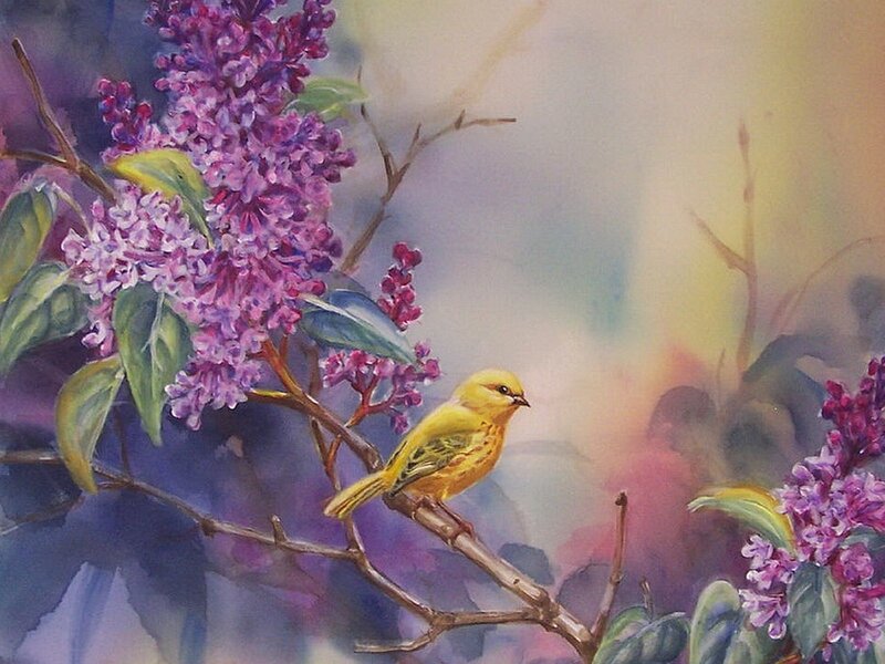Yellow bird on lilac branch