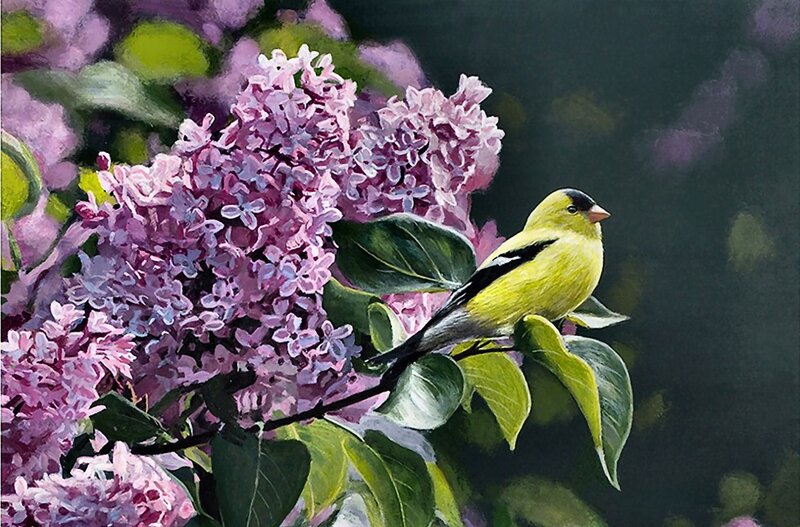 Yellow Bird on Lilac — Purple