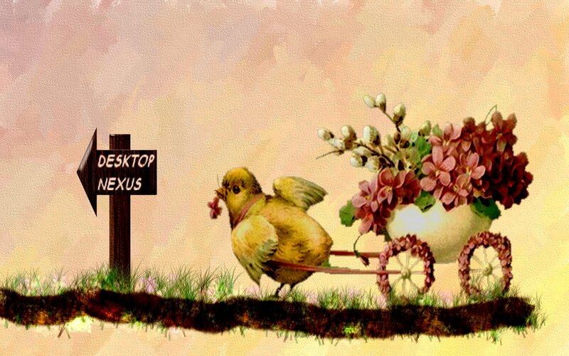 Yellow Bird Pulling Cart