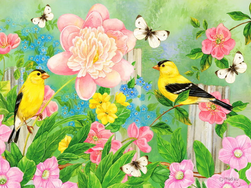 Yellow Birds in Garden