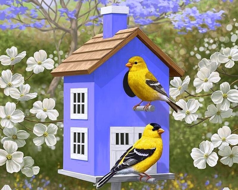 Yellow Birds on Birdhouse