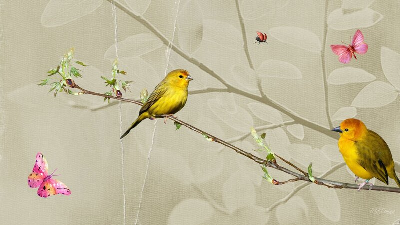 Yellow Birds on Branch