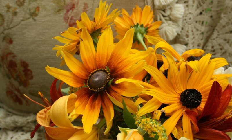 Yellow Black-eyed Susans — Calm, Autumn