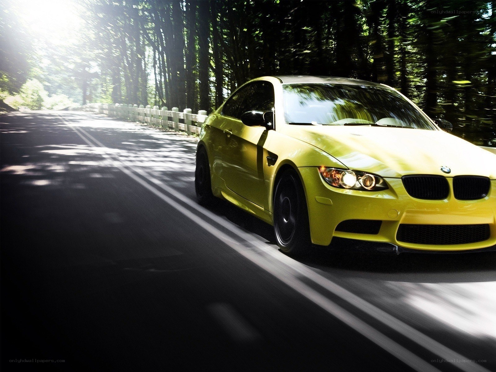 yellow bmw driving on forest road