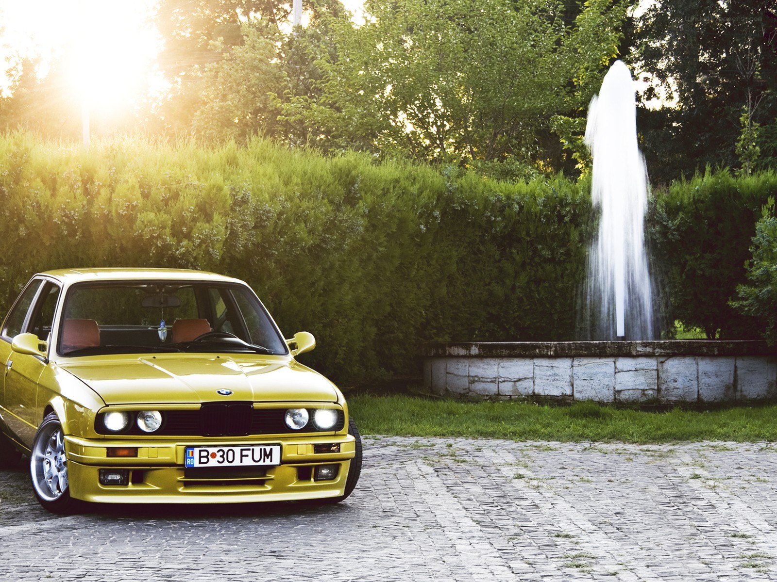 Yellow BMW in a garden