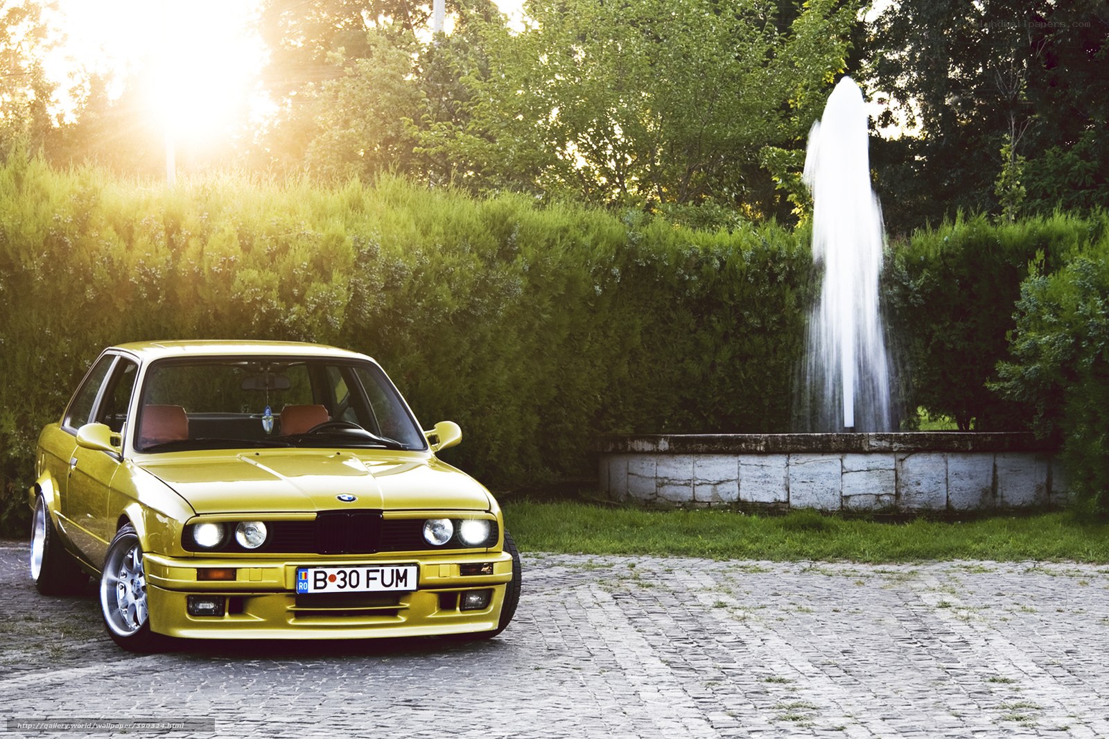 Yellow BMW in a park