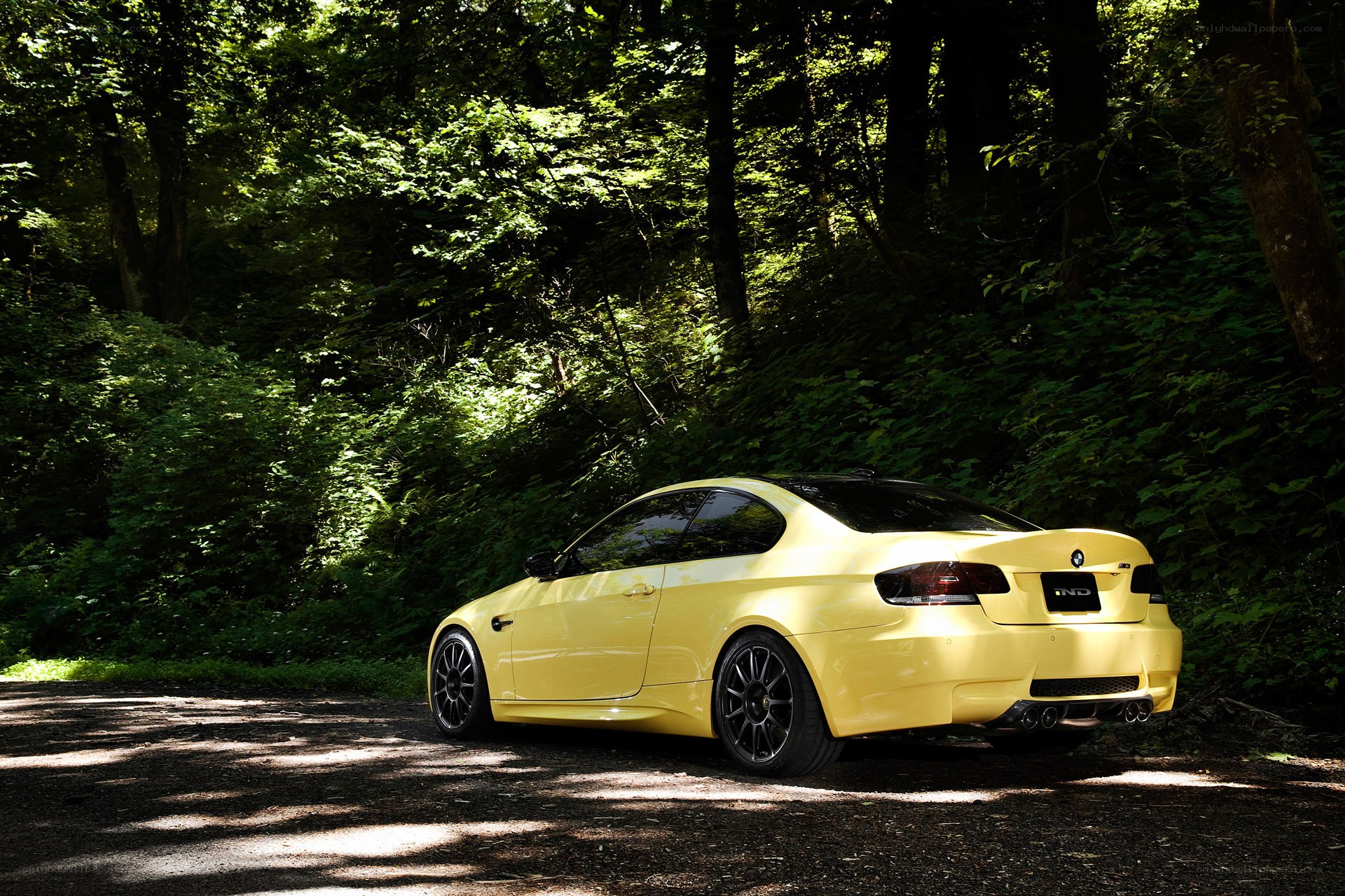 Yellow BMW in forest
