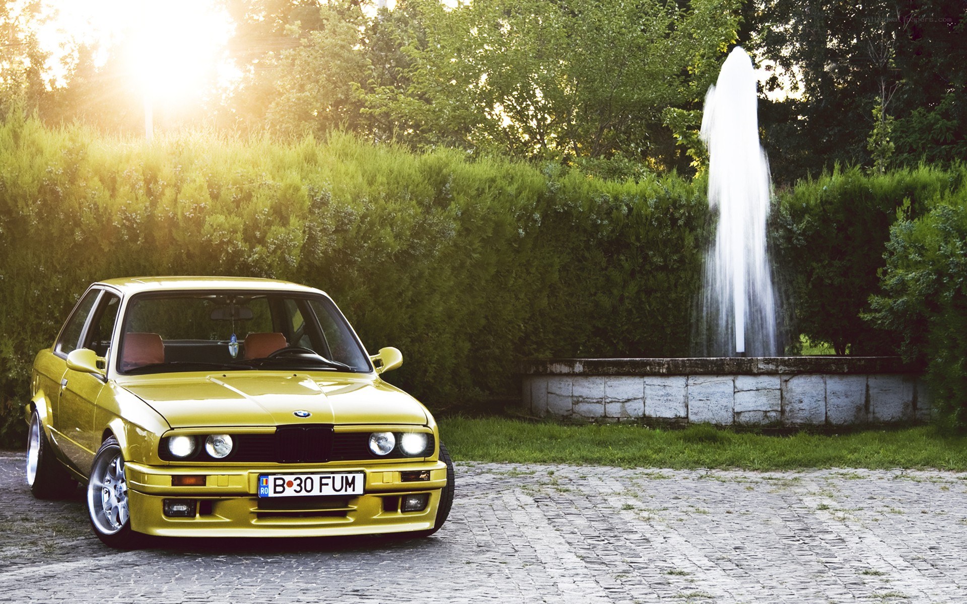 Yellow BMW in garden