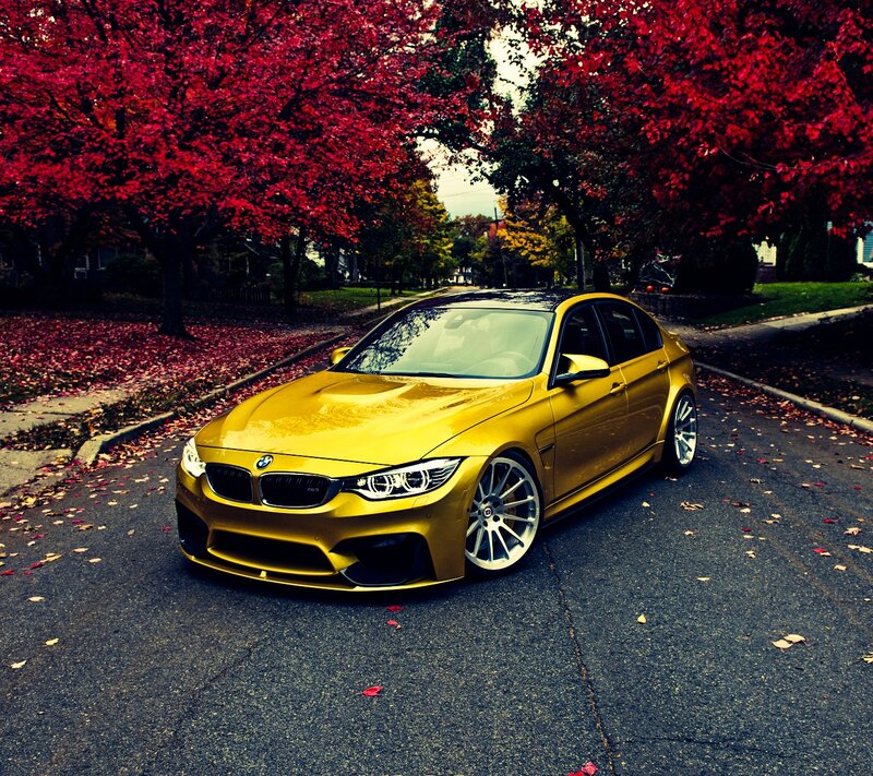 Yellow BMW M3 Sedan — Autumnal