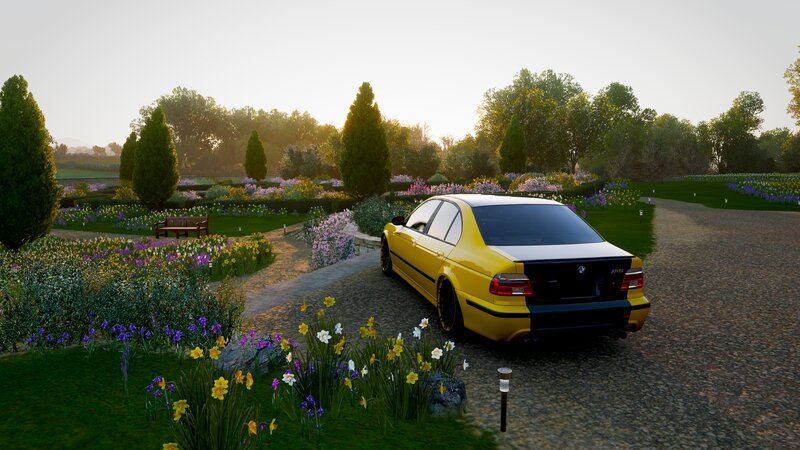 Yellow BMW M5 in Garden