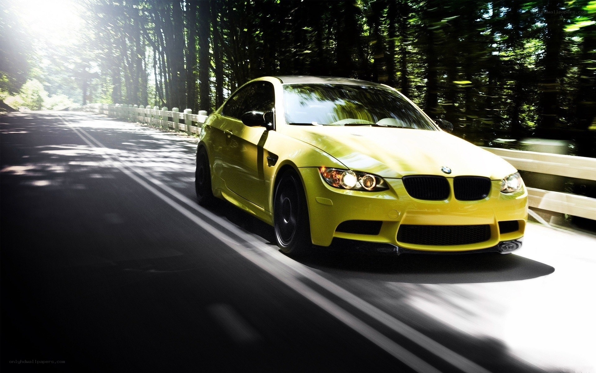 Yellow BMW on forest road