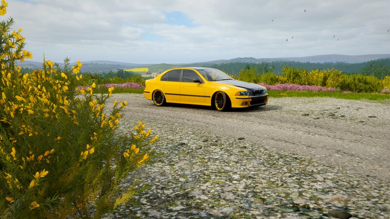 Yellow BMW Sedan — Serene