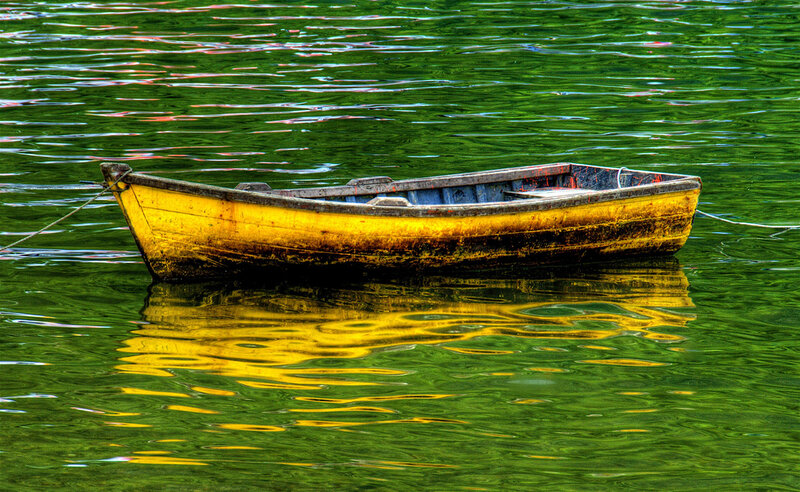 yellow boat on green water