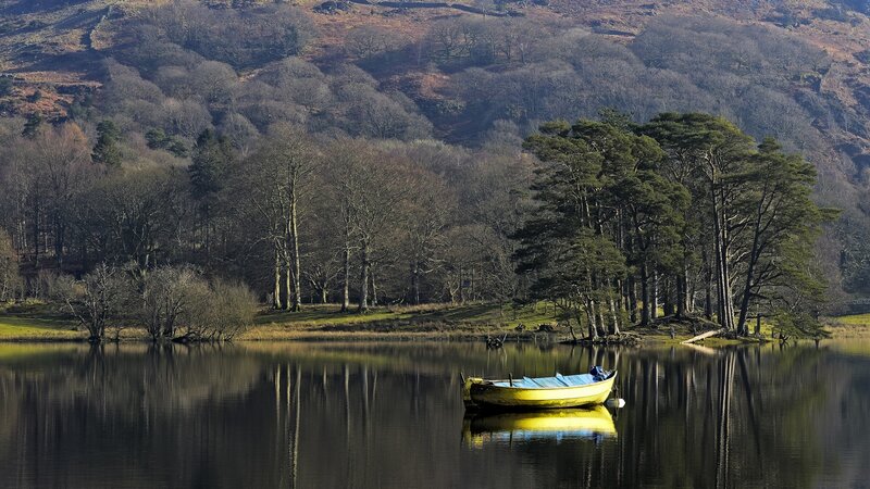 Yellow Boat on Lake — Green