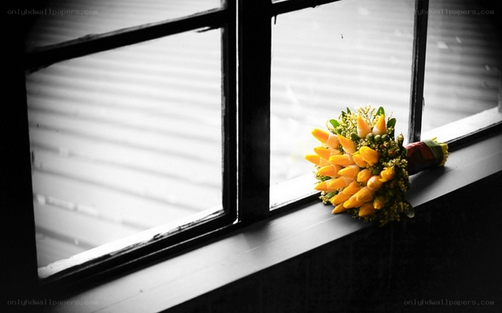 yellow bouquet on windowsill