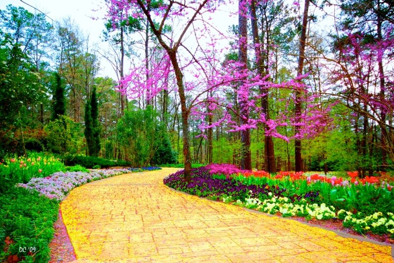 Yellow Brick Path