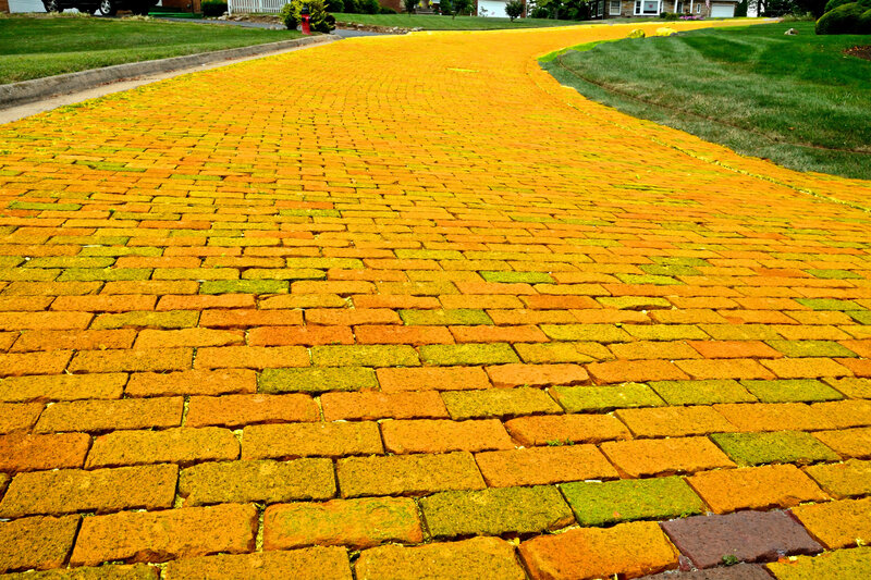 Yellow Brick Road — Serene