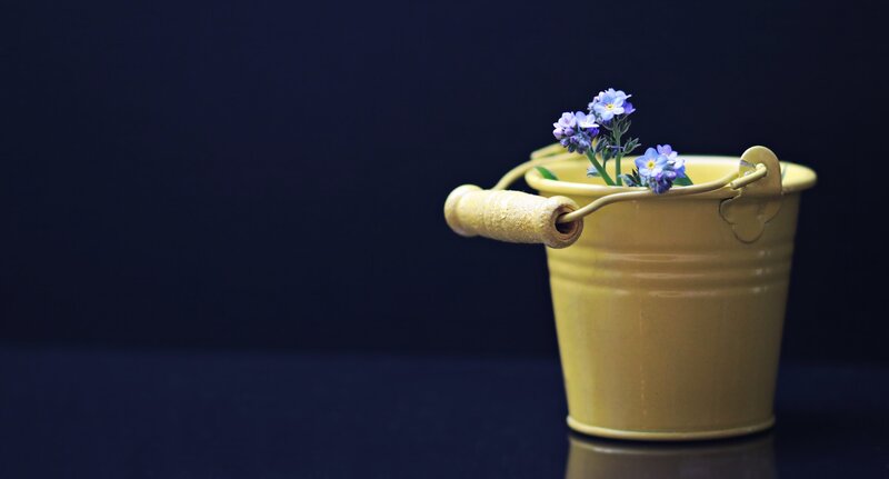 yellow bucket with purple flowers