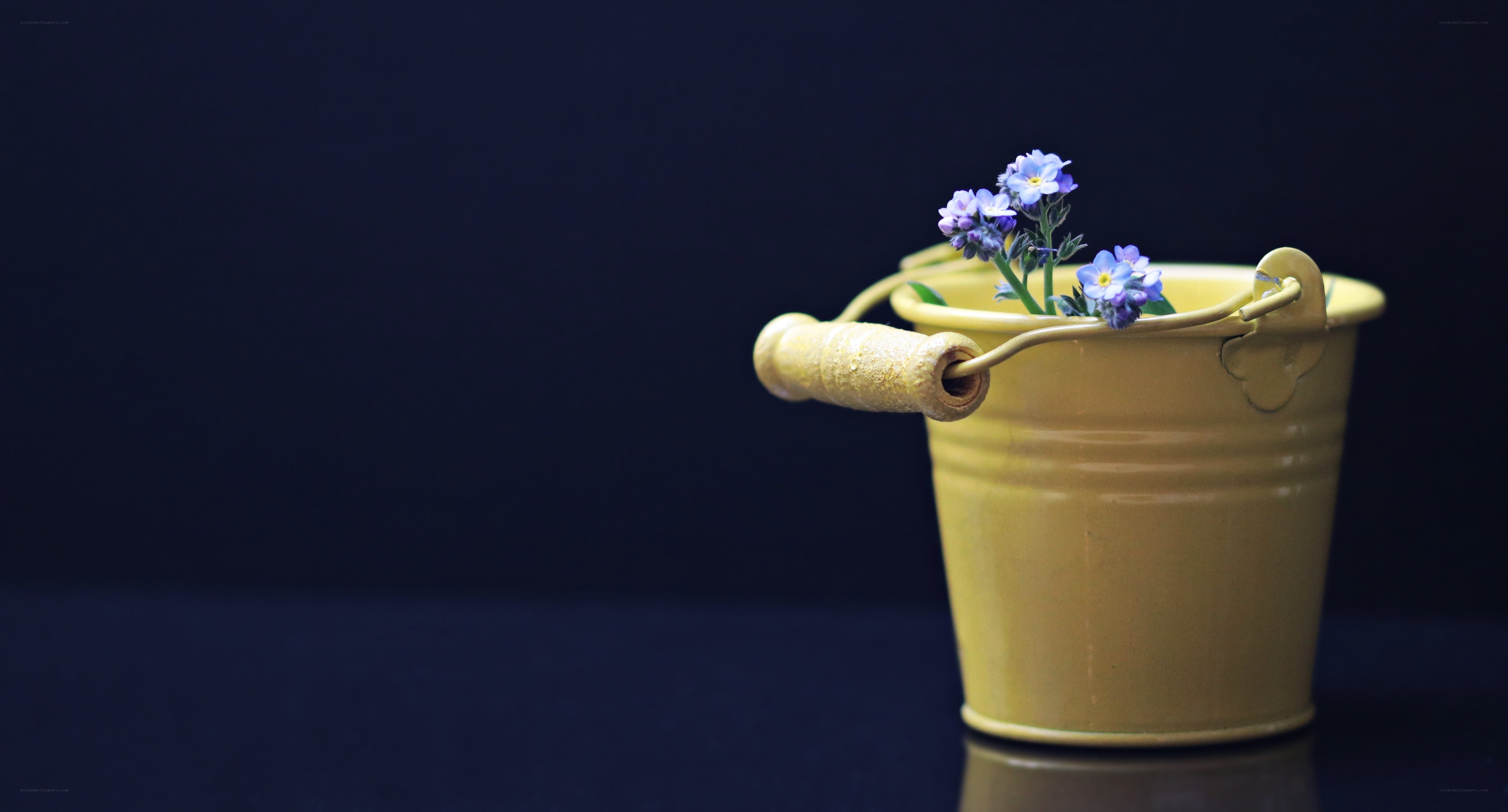 yellow bucket with purple flowers