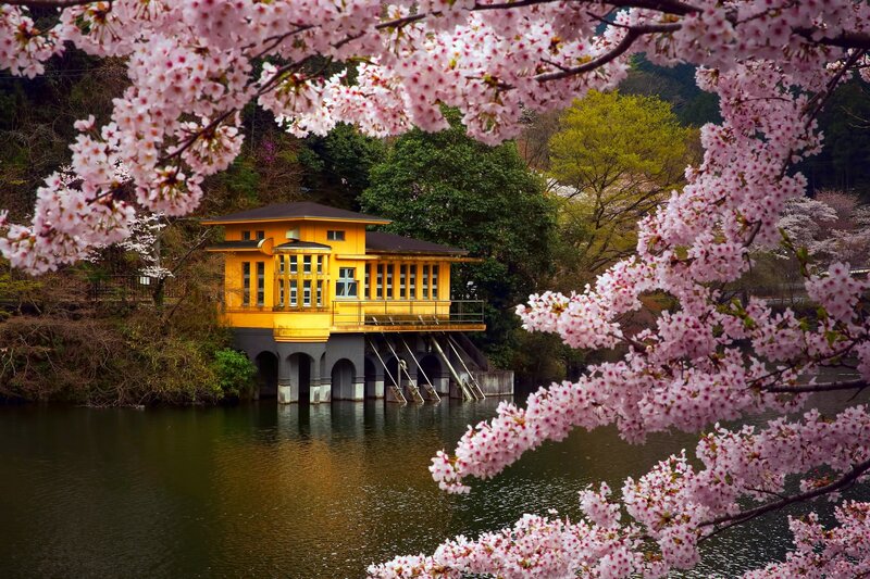 Yellow Building by Lake — Pink