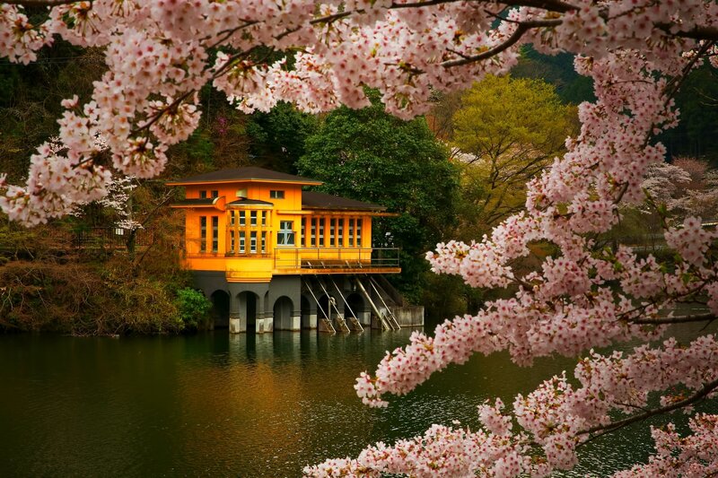 Yellow Building on Lake — Pink