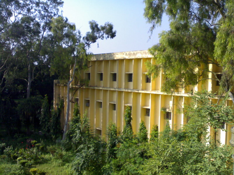 yellow building surrounded by trees