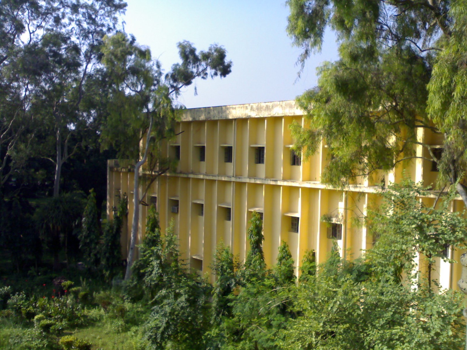 yellow building surrounded by trees