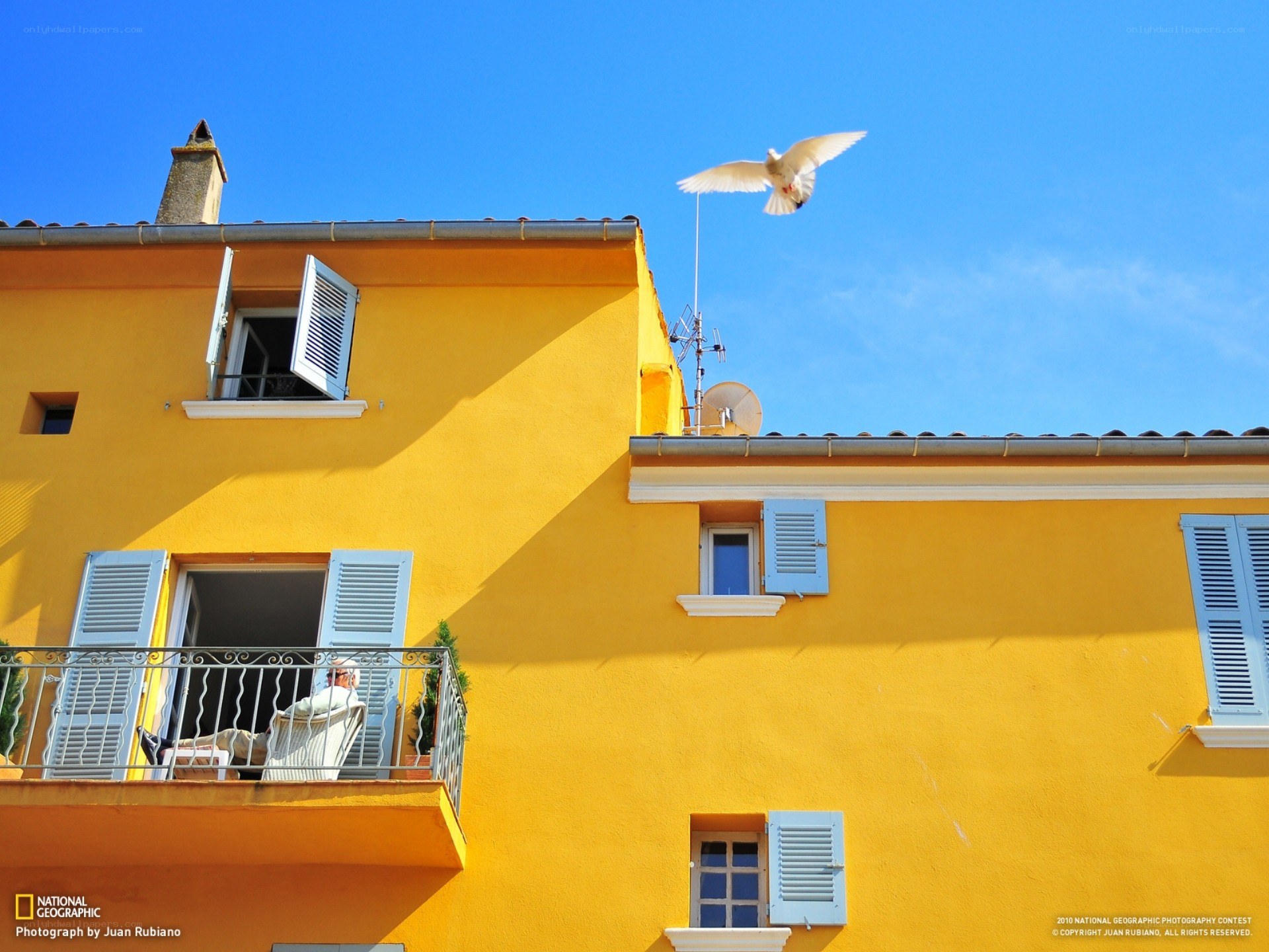 Yellow building with flying dove