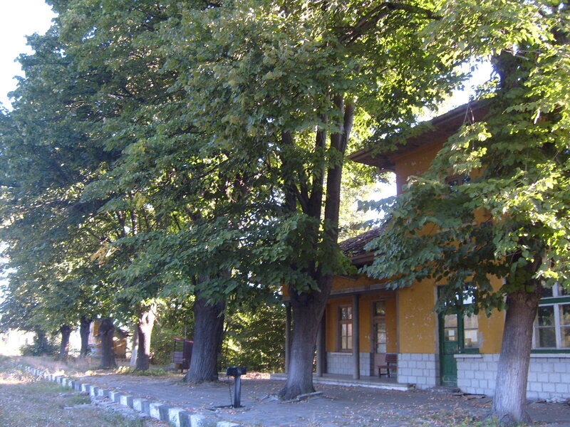 Yellow Building with Trees