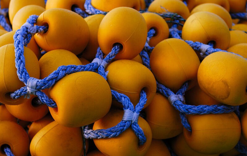 yellow buoys with blue rope