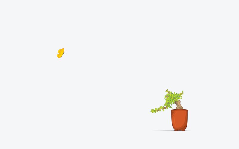 Yellow Butterfly and Bonsai — White, Serene