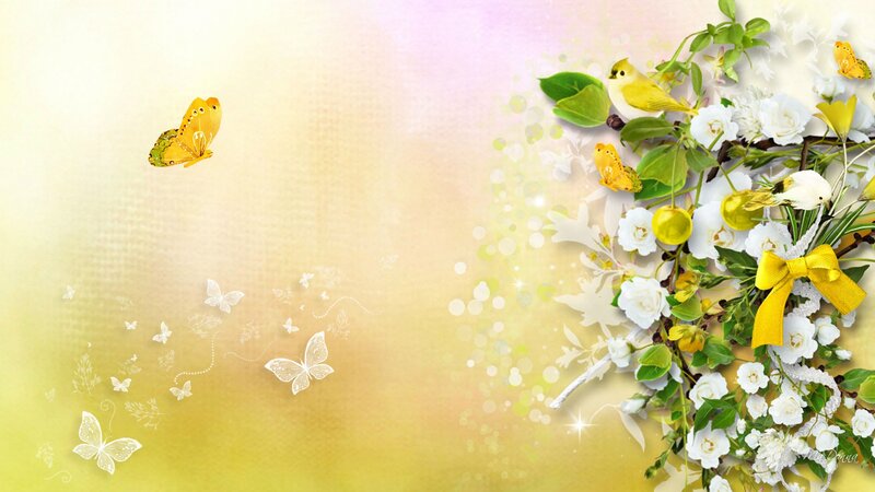 Yellow Butterfly and Flowers