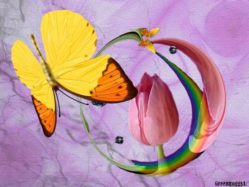 Yellow Butterfly and Tulip