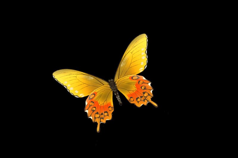 Yellow Butterfly — Dramatic