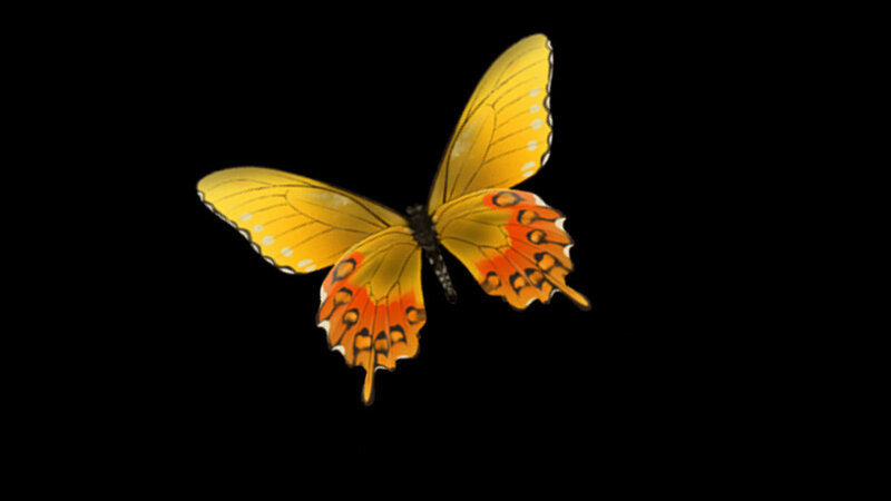 yellow butterfly in flight