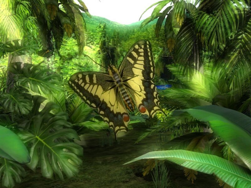 Yellow Butterfly in Jungle