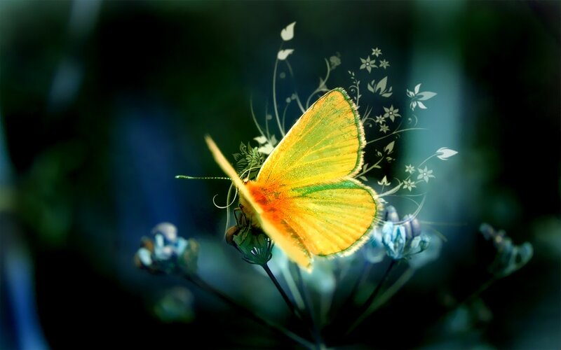 Yellow Butterfly on Flower — Serene, Digital Art, Foliage, Green