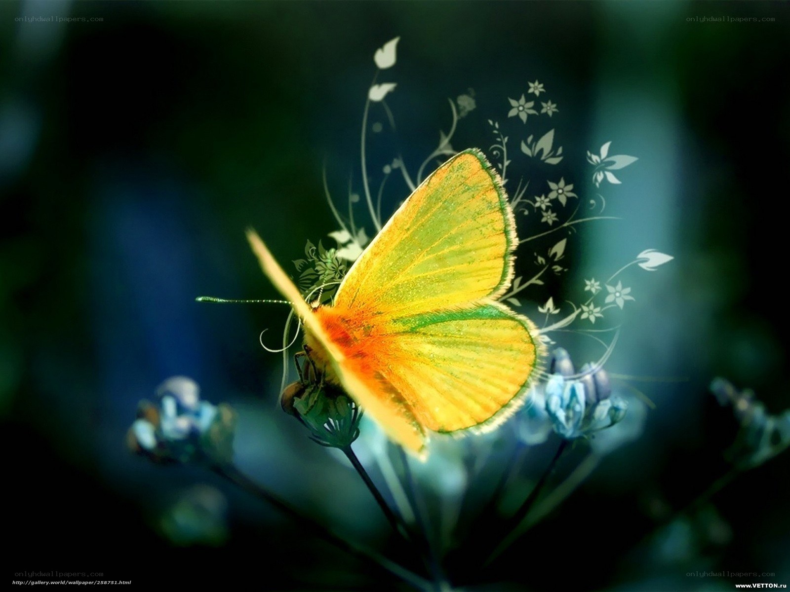 Yellow butterfly on flower