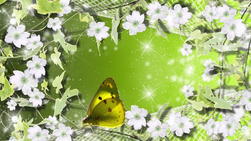 Yellow Butterfly on Flowers — Green, Serene