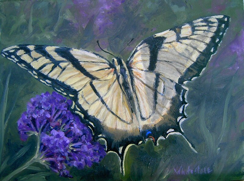 Yellow Butterfly on Purple Flower — Calm